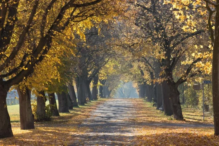 Shaping the Months Ahead with Intention