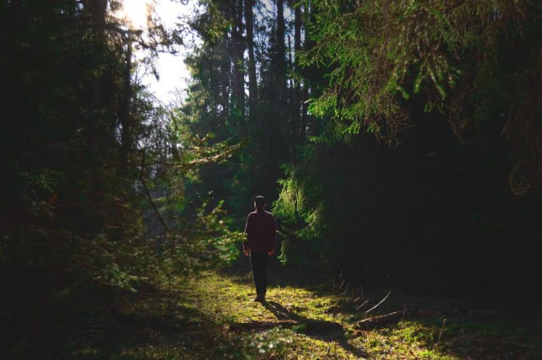 What Leaders Learn (If they take the time to notice)